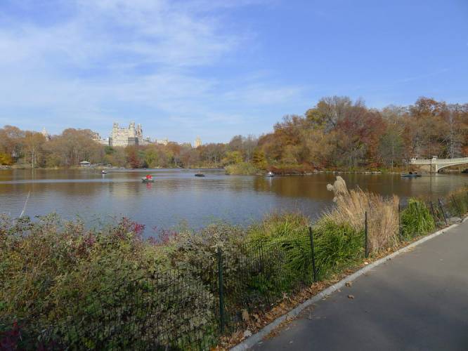USA_2011-11-20 12-29-50